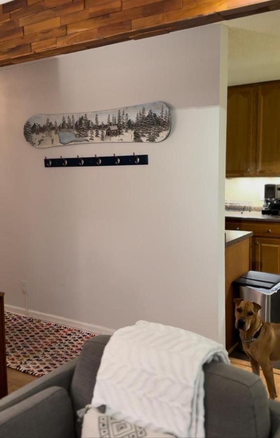 אבון Beaver Creek 2 Bed 2 Bath Condo 1 Min Walk To Elk Lot מראה חיצוני תמונה